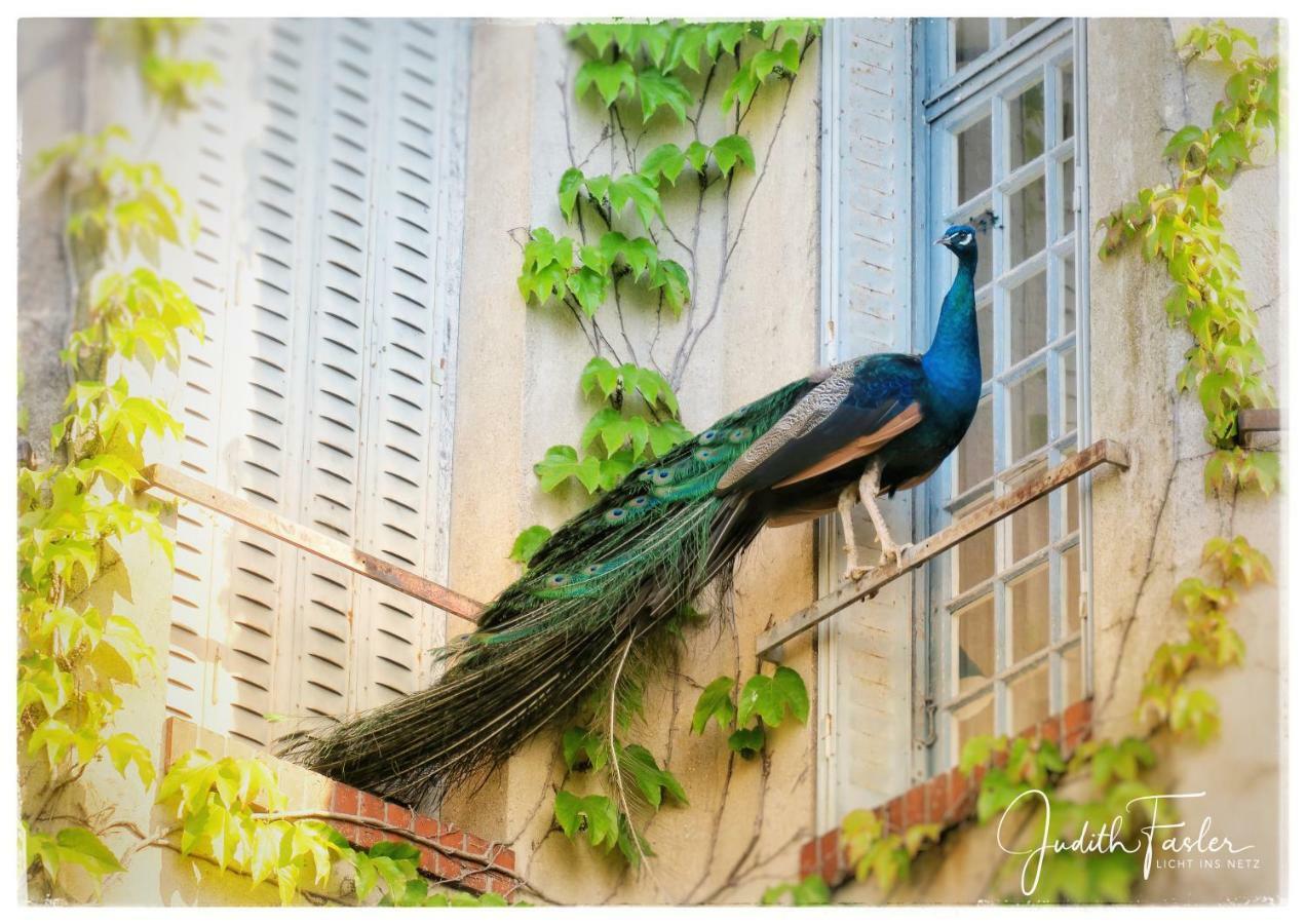Le Relais Du Doubs En Bourgogne Bed and Breakfast Ciel Buitenkant foto
